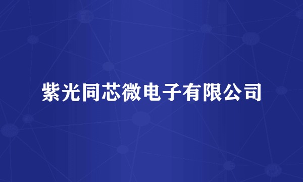 紫光同芯微电子有限公司