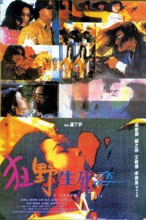 狂野生死恋(1995年区丁平执导电影)