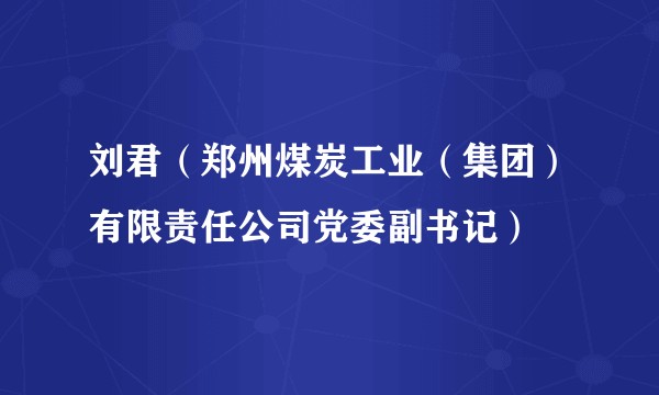 刘君（郑州煤炭工业（集团）有限责任公司党委副书记）