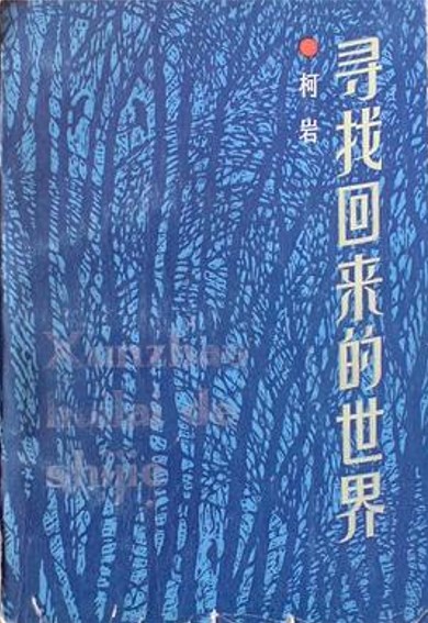 寻找回来的世界（柯岩创作的当代长篇小说）