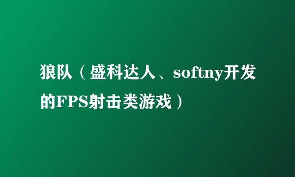 狼队（盛科达人、softny开发的FPS射击类游戏）