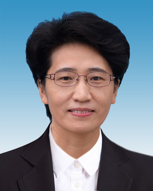 陈华（第十四届全国人大代表，湖南省湘西自治州人民政府原州长）