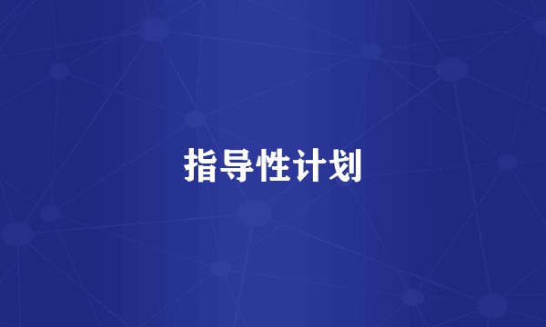 指导性计划
