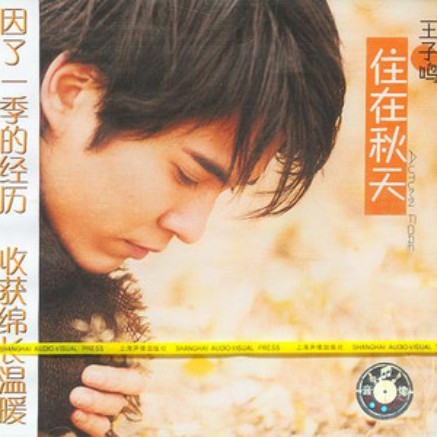 我爱(2001年王子鸣演唱歌曲)