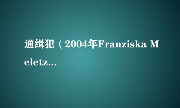 通缉犯(2004年Franziska Meletzky执导的德国剧情电影)