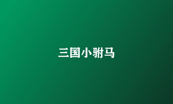 三国小驸马