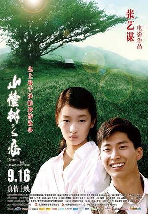 山楂树之恋（2010年张艺谋执导的爱情片）