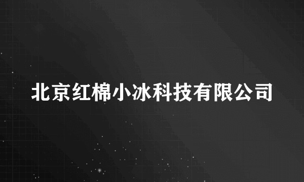 北京红棉小冰科技有限公司
