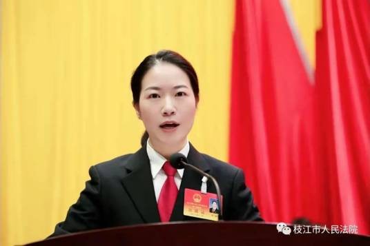 丁盼（湖北省宜昌市纪委常委、市监委委员）