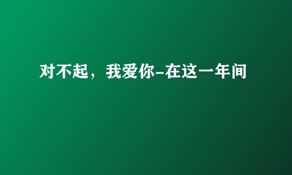 对不起，我爱你-在这一年间