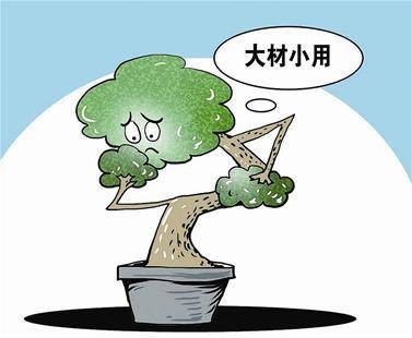 好高骛远