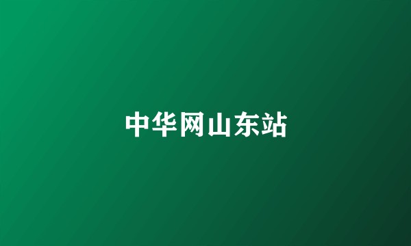 中华网山东站
