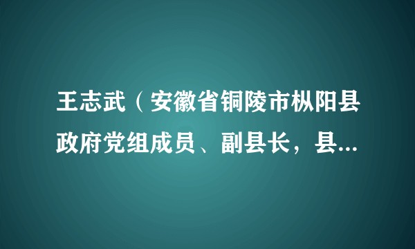 王志武（安徽省铜陵市枞阳县政府党组成员、副县长，县公安局党委书记、局长）