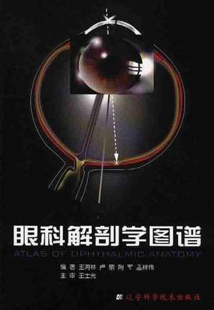 眼科解剖学图谱