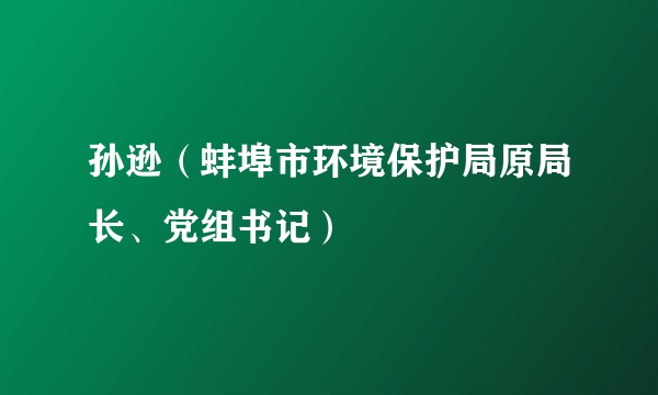 孙逊（蚌埠市环境保护局原局长、党组书记）