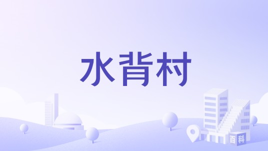 水背村（广东省深圳市龙岗区坪地街道年丰社区下辖村）