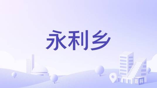 永利乡