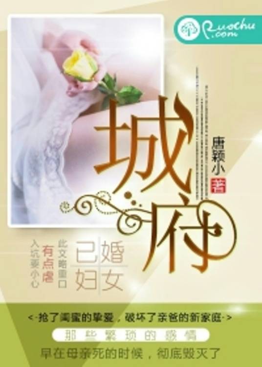 城府(唐颖小创作的婚恋类网络小说)