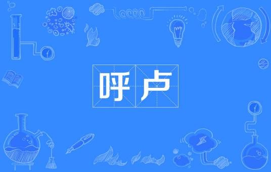 呼卢