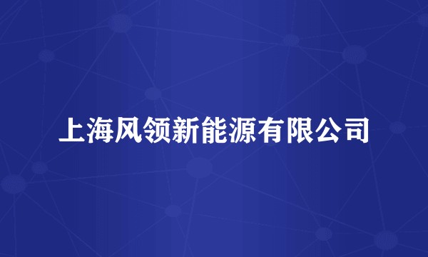 上海风领新能源有限公司