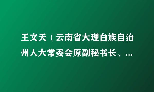 王文天（云南省大理白族自治州人大常委会原副秘书长、办公室主任）