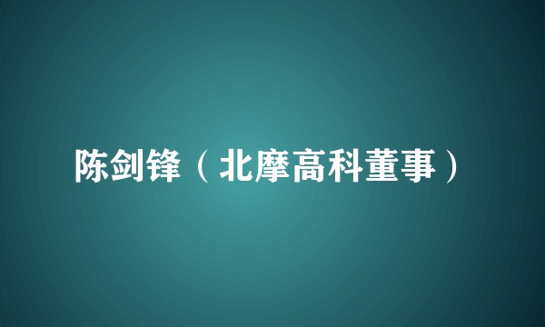 陈剑锋(北摩高科董事)