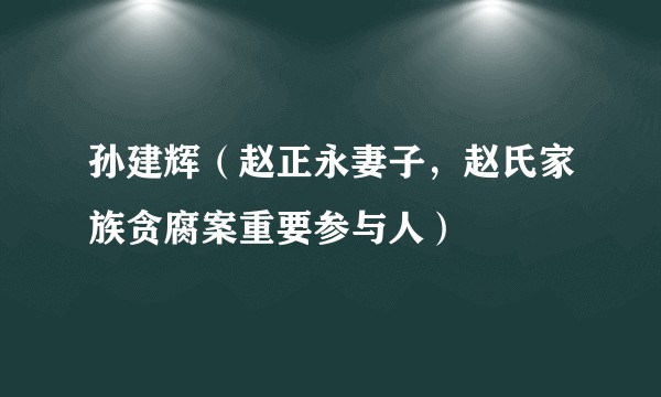 孙建辉（赵正永妻子，赵氏家族贪腐案重要参与人）
