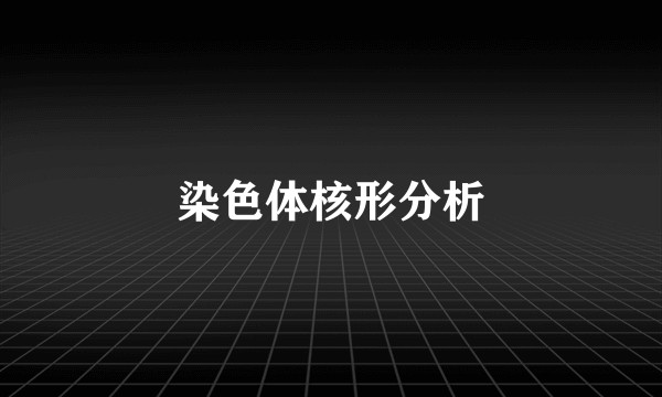 染色体核形分析