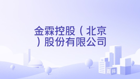 金霖控股（北京）股份有限公司