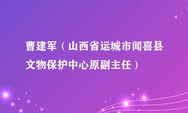 曹建军(山西省运城市闻喜县文物保护中心原副主任)