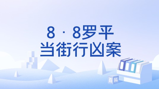 8·8罗平当街行凶案