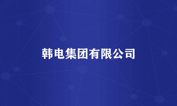 韩电集团有限公司