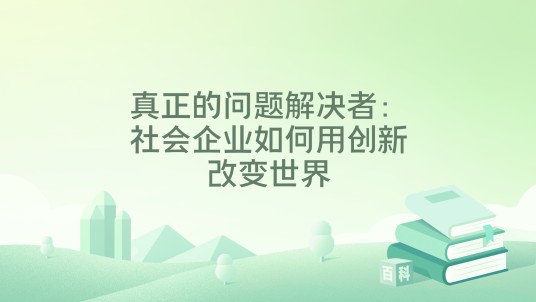 真正的问题解决者：社会企业如何用创新改变世界