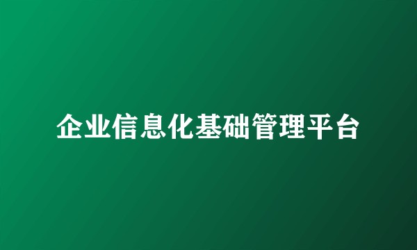 企业信息化基础管理平台