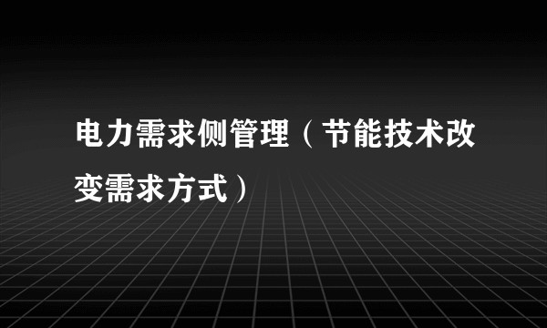 电力需求侧管理（节能技术改变需求方式）