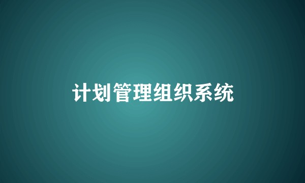 计划管理组织系统