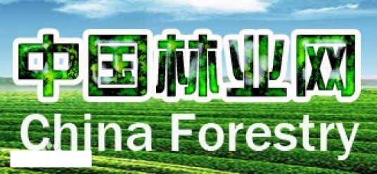 中国林业网