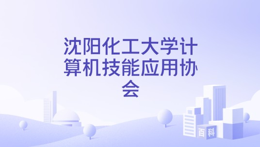 沈阳化工大学计算机技能应用协会