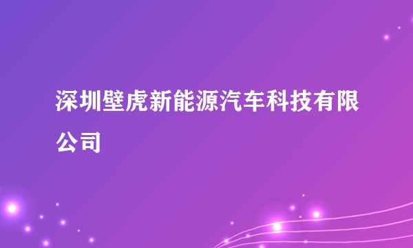 深圳壁虎新能源汽车科技有限公司