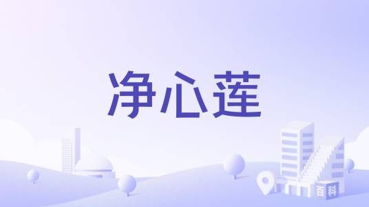 净心莲