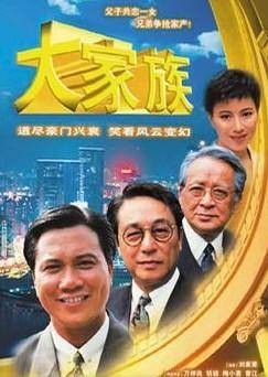 大家族（1991年刘家豪执导的电视剧）