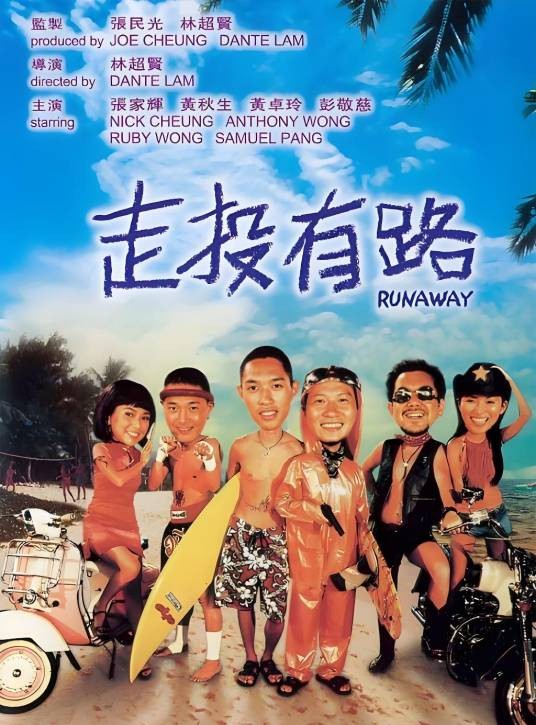 走投有路（2001年林超贤执导的动作电影）