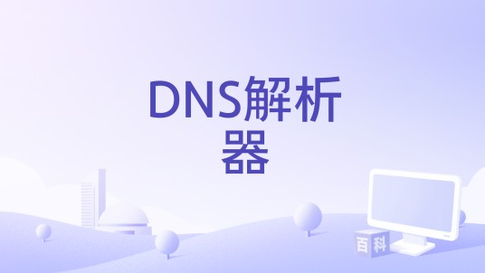 DNS解析器