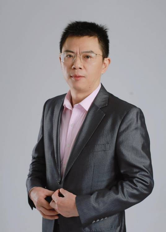 刘文正（湖南大学教授）
