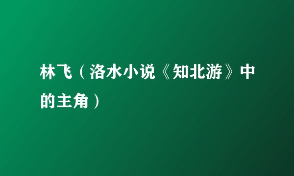 林飞（洛水小说《知北游》中的主角）