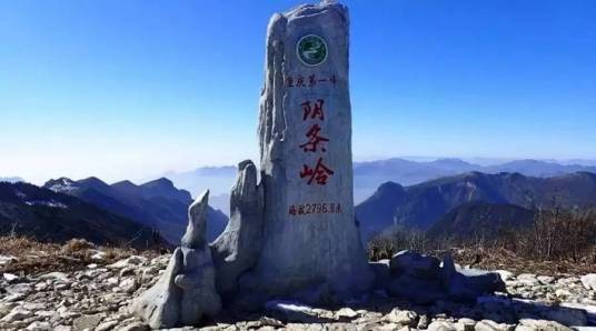 重庆阴条岭国家级自然保护区