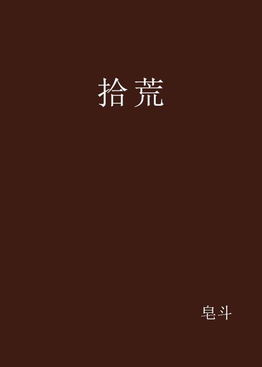 拾荒（皂斗创作的网络小说）