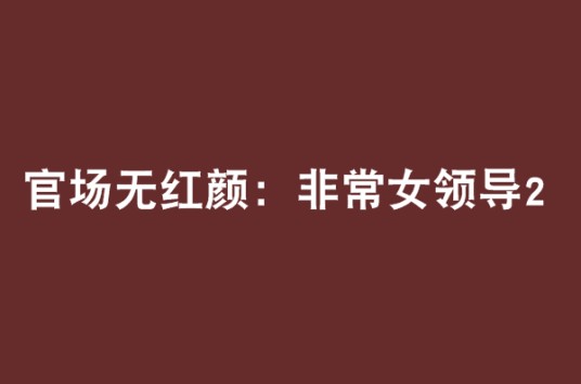 官场无红颜：非常女领导2