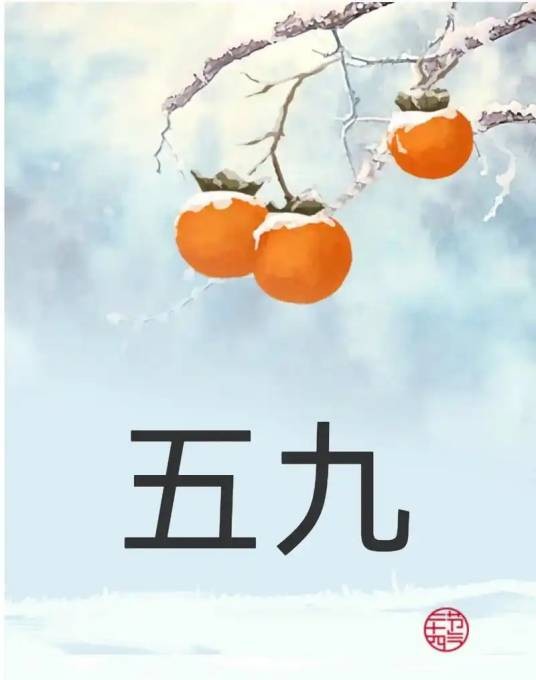 五九天气