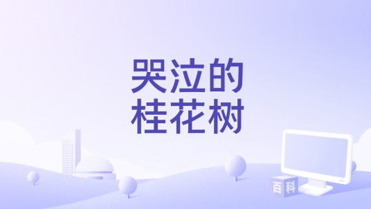 哭泣的桂花树